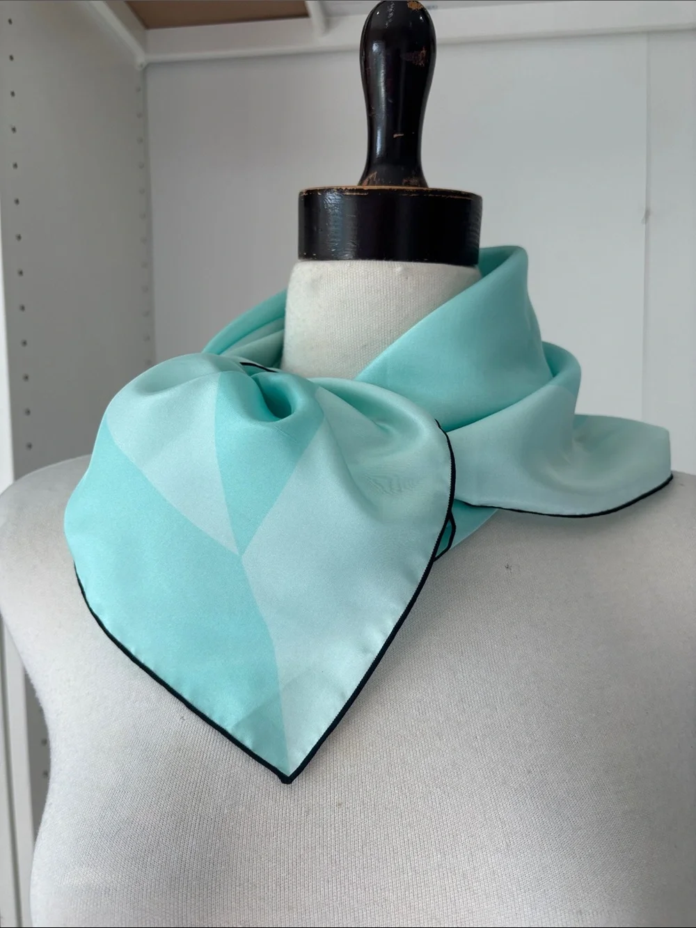 Light Aqua Neck Scarf with Black Trim silk scarf